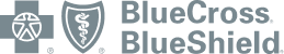 Grey_BlueShieldLogo