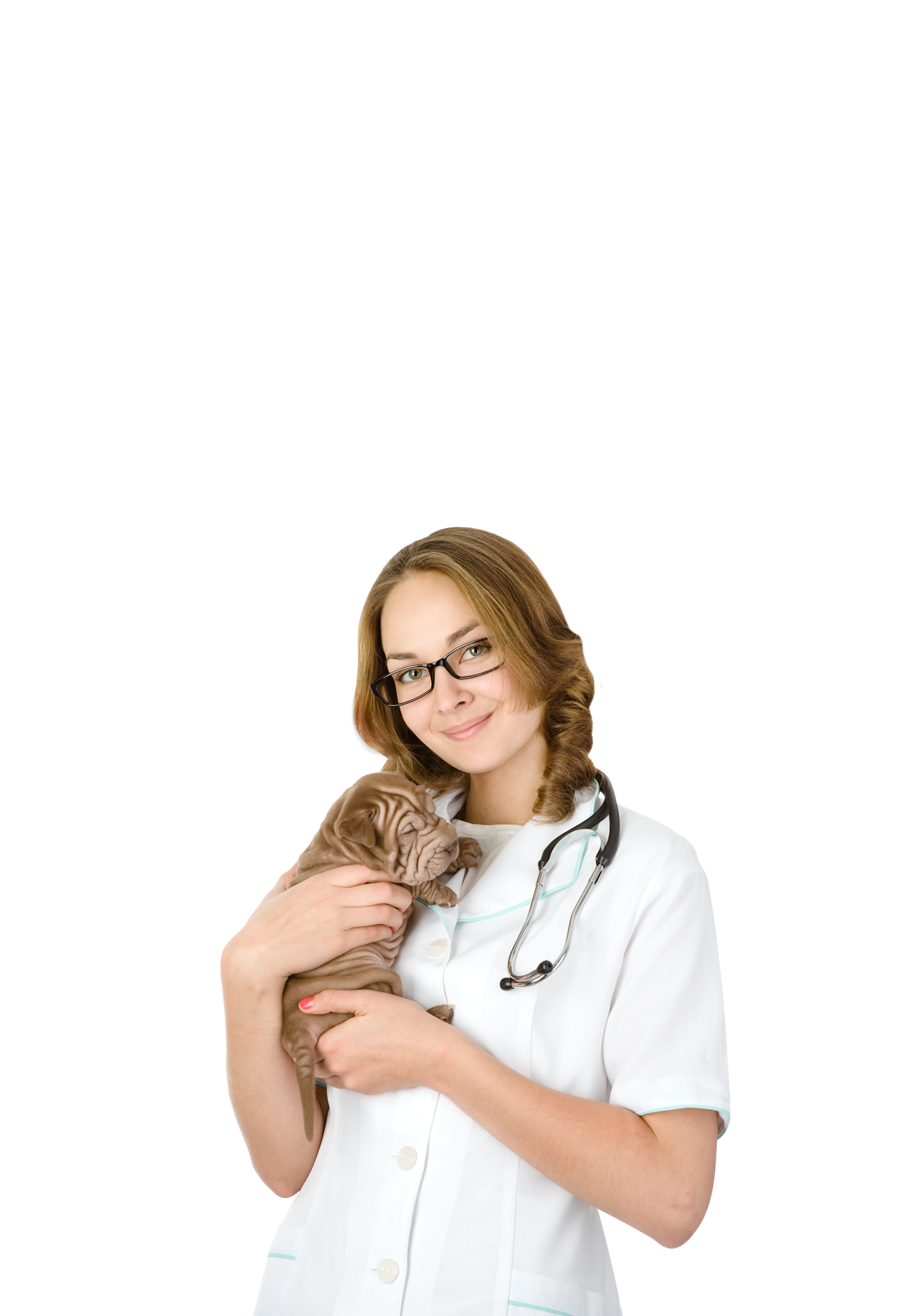 Veterinarian Clinics message on hold